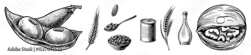 Vector Vintage culinary elements including shellfish grains and containers are presented as detailed engravings.
