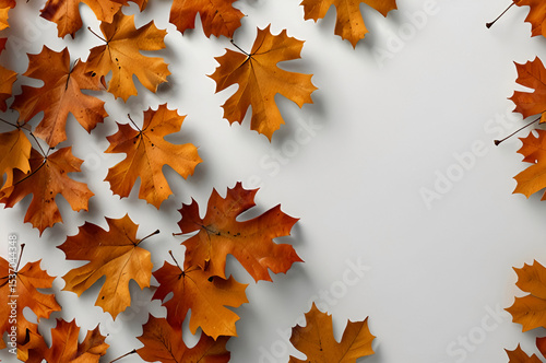 Orange and brown autumn leaves are scattered across a white background framing the left and bottom edges of the image