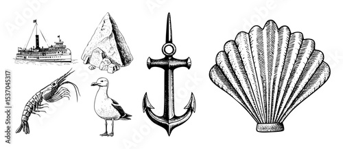 Vector Vintage nautical illustrations depict a steamboat iceberg anchor seashell shrimp and seagull.