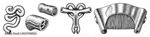 Vector Intricate abstract shapes showcase diverse geometric designs in a vintage engraving style.