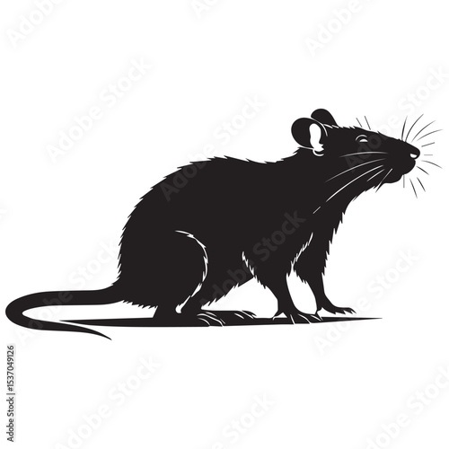 Black rat silhouette sitting profile view
