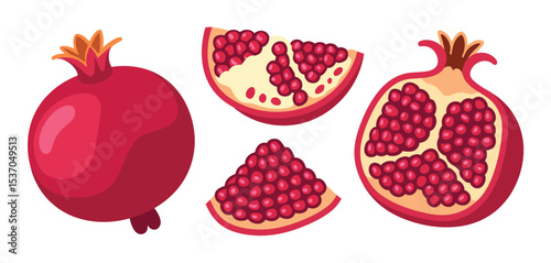 Whole pomegranate and sections illustration