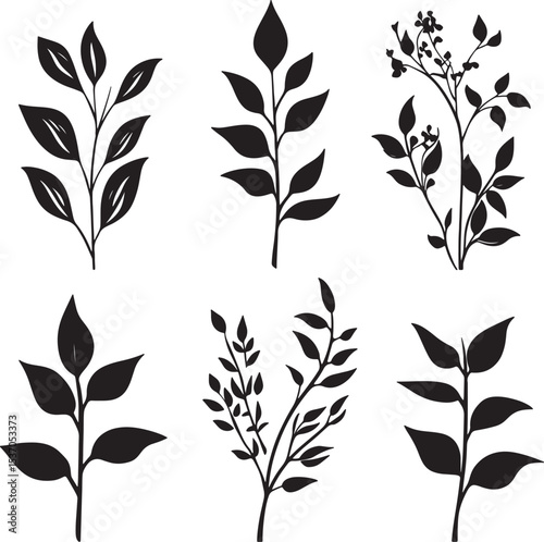 Adobe Illustrator Artwork