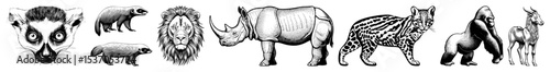 Vector Diverse African wildlife illustrations showcase a hyena lemur oryx rhinoceros civet and gazelle.