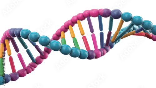 A 3D rendering of a DNA double helix. The model is depicted in a vibrant array of colors, with each nucleotide represented by differently colored spheres and cylindrical connectors. 