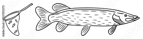 Vector Detailed of a fish and a fishing net with captured fish.