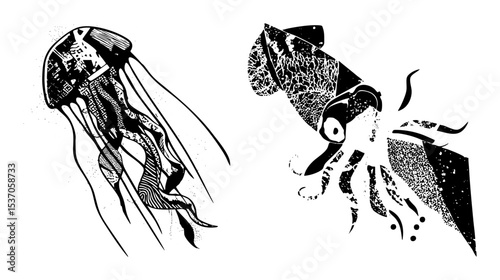 Vector Detailed jellyfish and squid vector illustrations showcase marine life.