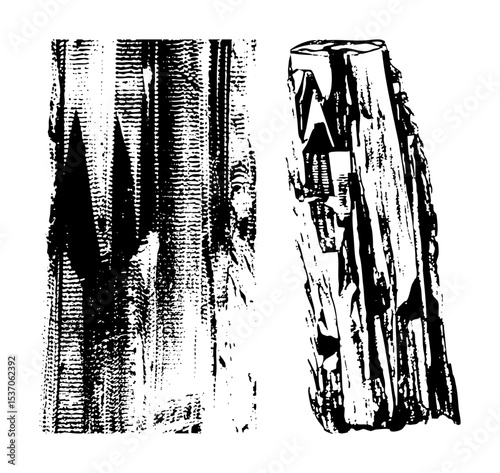 Vector Detailed wood textures and a cut log .