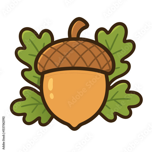 Acorn and Oak Leaves Vector Illustration