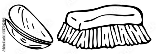 Vector Seafood Clam and Mussel
