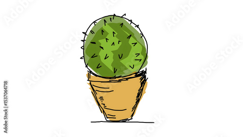 green cactus vector illustration 