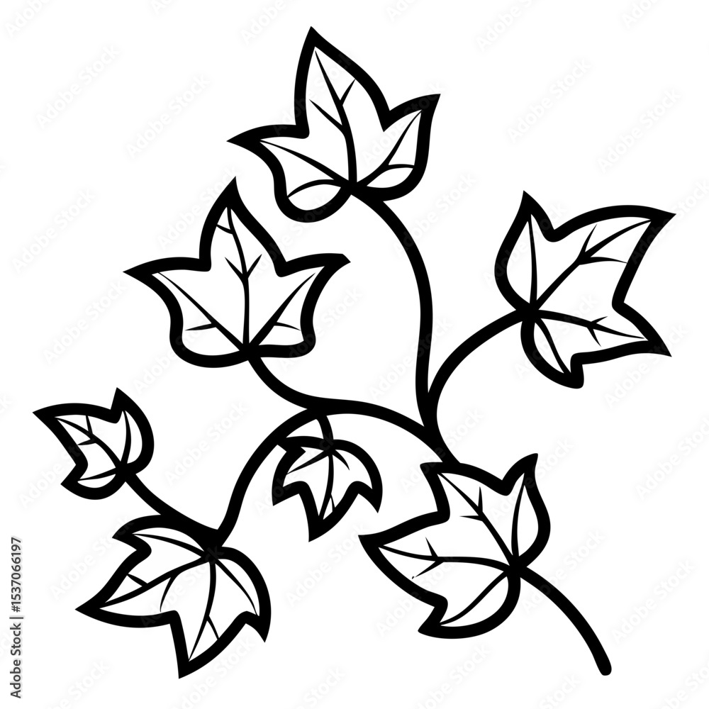 Fototapeta premium vector illustration of a flower