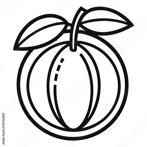 vector illustration of a Honeydew