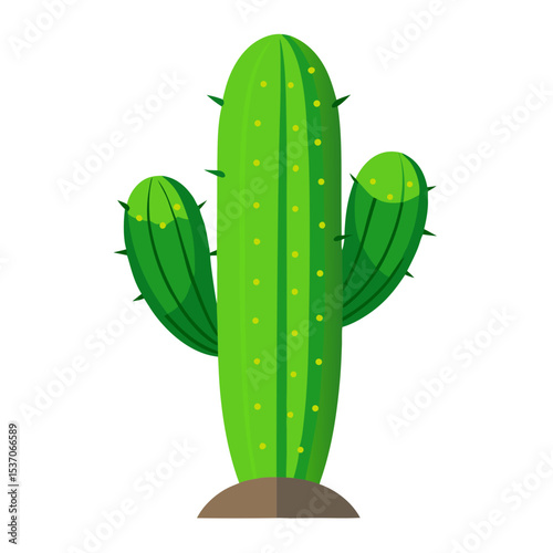 cactus vector illustration