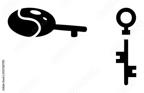 Vector Two distinct keys one ornate and one standard presented as black vector .