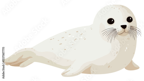 An illustration of a white seal pup. The seal is depicted in a lying down position, with its flippers extended to its sides. The illustration is done in a style reminiscent of a child's drawing or