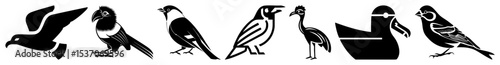 Vector Stylized avian illustrations depict diverse bird species in a .