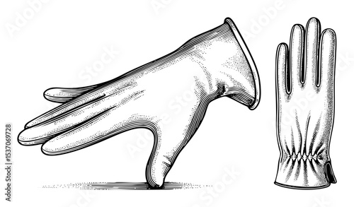 Vector Elegant gloves are depicted in a vintage-style .