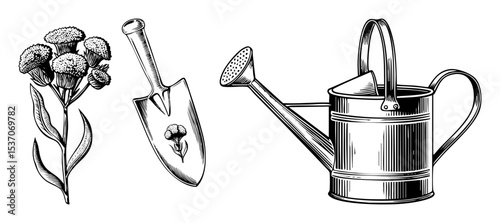 Vector Vintage gardening tools and carnation flower .