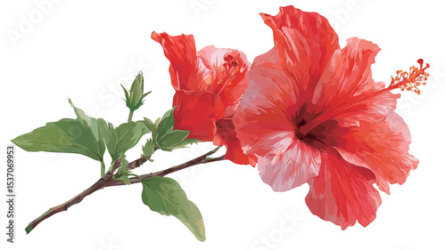 Close-up image of two red hibiscus flowers with pink and white variegation on a branch.  The flowers are in full bloom, showing detailed petal texture.  Green leaves and buds are visible on the