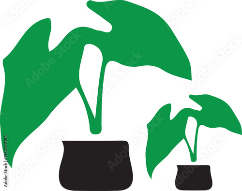 Potted calathea plant illustration potted green vector