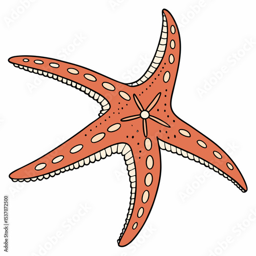 Adorable cartoon starfish ocean animal illustration