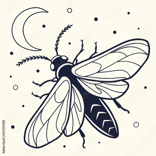 Night insect moon celestial moth wings art
