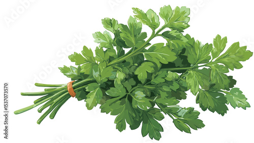 A close-up image of a bunch of fresh parsley against a white background. The parsley is bright green and appears to be tightly bundled together with a small orange rubber band. 