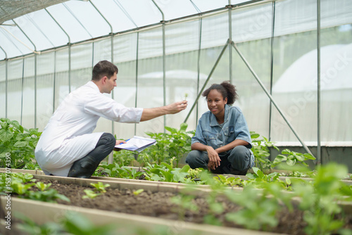 Agricultural scientist male inside greenhouse showing plant sample to young African female researcher during farming consultation.