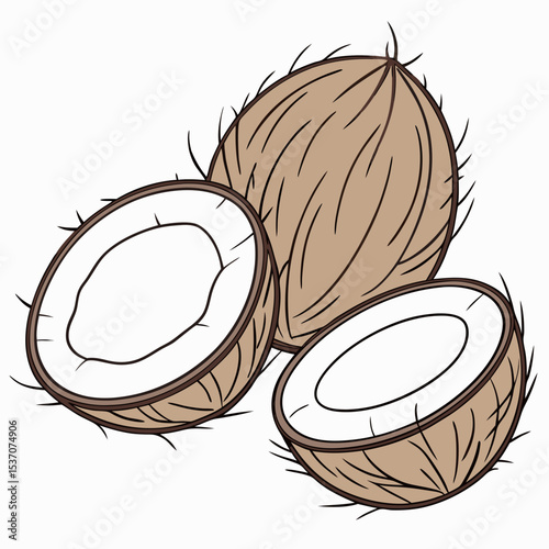 Fresh whole coconut halved tropical fruit