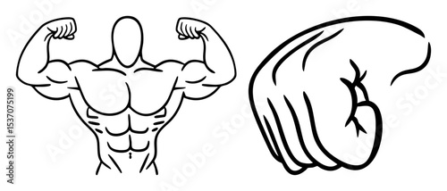 Vector Muscular physique and flexed bicep .