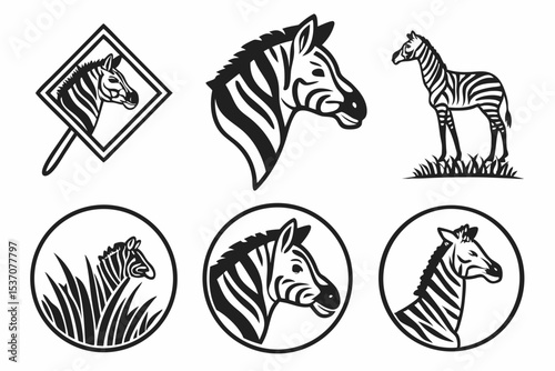 zebra vector illustration