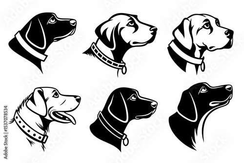 set of dogs