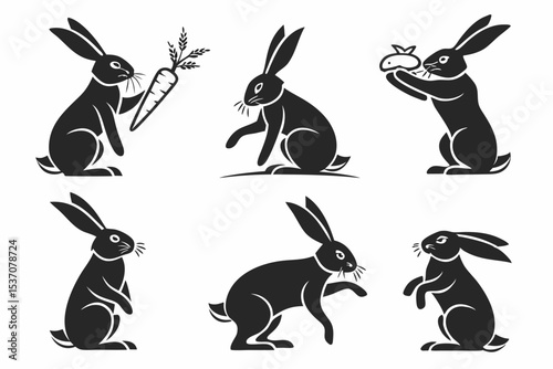set of rabbits