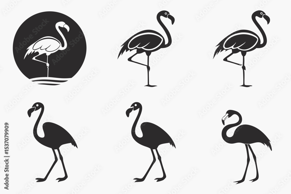 Obraz premium set of flamingos