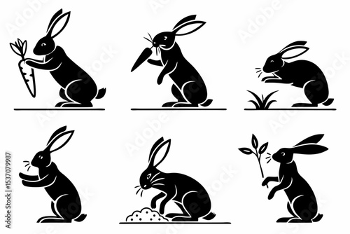 set of rabbits