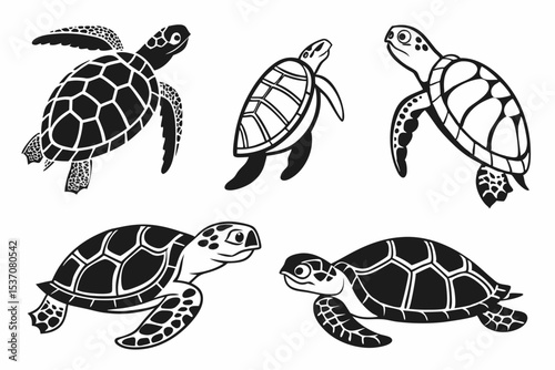 turtle vector illustration