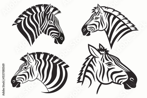 zebra vector illustration
