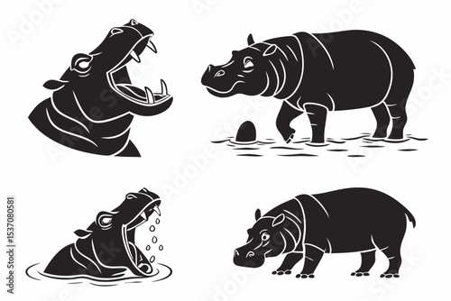rhino vector illustration