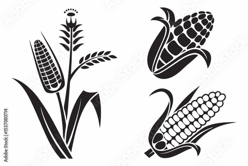 set of corn