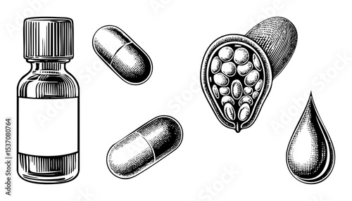 Vector Pharmaceutical elements including capsules a bottle a seed pod and a droplet are presented as vintage-style illustrations.