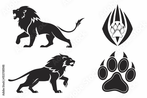 black and white dog