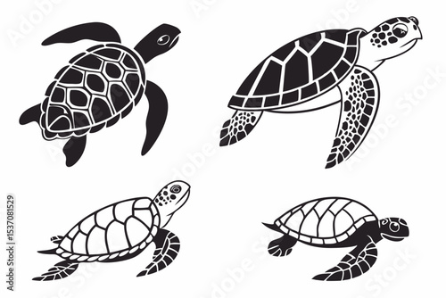 turtle