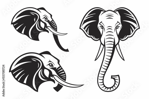 vector illustration of an elephant