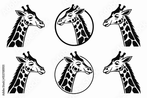 giraffe vector illustration