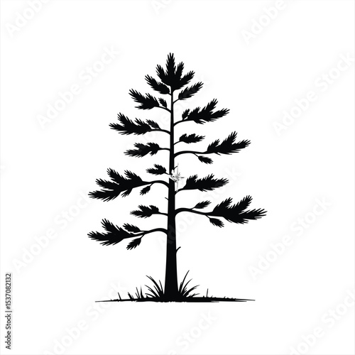 Various black tree silhouettes on white background.