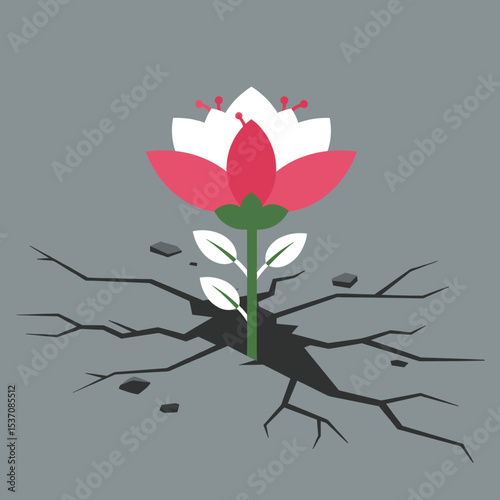 A delicate hibiscus flower, symbolizing beauty and nature, often associated with tropical climates.