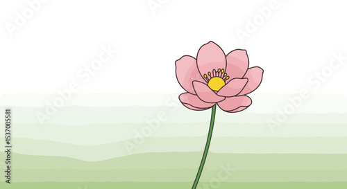 A delicate hibiscus flower, symbolizing beauty and nature, often associated with tropical climates.