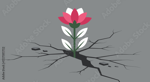 A delicate hibiscus flower, symbolizing beauty and nature, often associated with tropical climates.