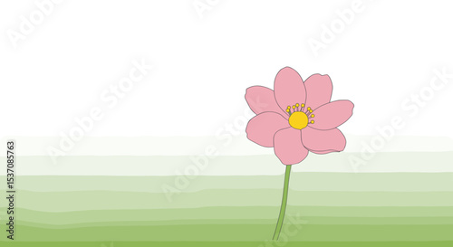 A delicate hibiscus flower, symbolizing beauty and nature, often associated with tropical climates.